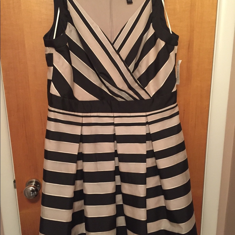 DressBarn Collection Dress